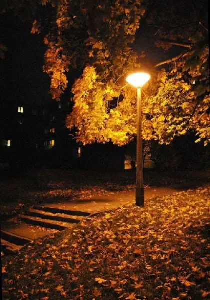  عکس عاشقانه پاییز