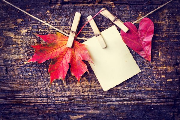  عکس دونفره پاییزی عاشقانه