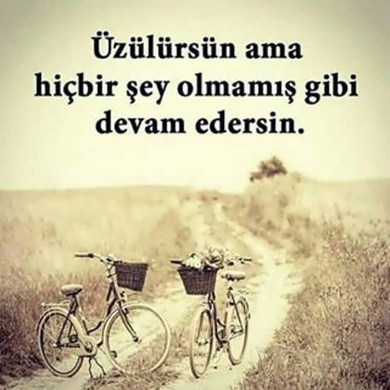  پروفایل ترکی با معنی