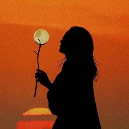  ست عکس عاشقانه جدید