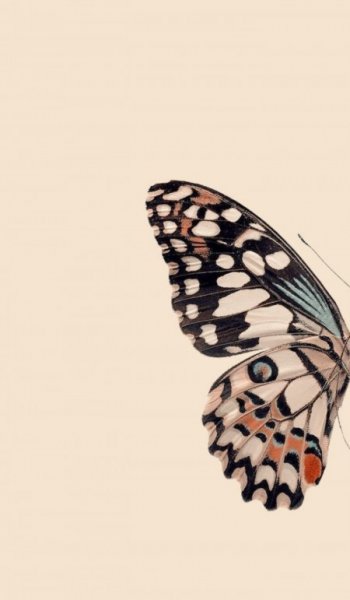  پروفایل ست رفیق فانتزی