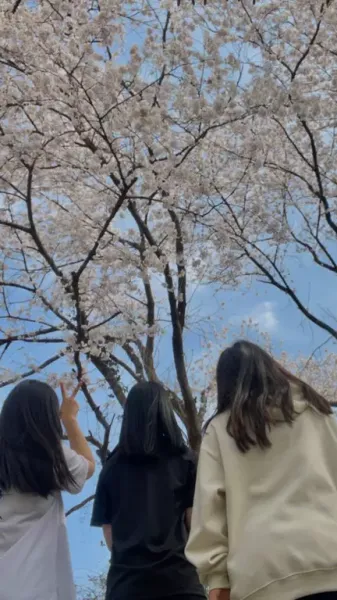  عکس سه نفره برای پروفایل