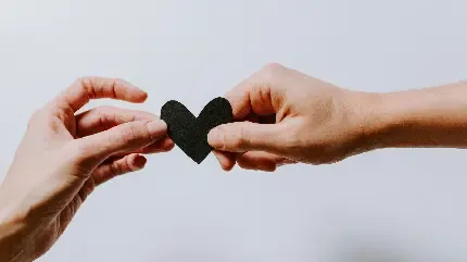  تصویر های عاشقانه