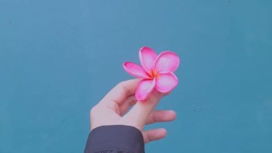  عکس عاشقانه جدید برای پروفایل