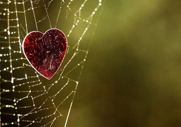  عکس دونفره غمگین جدایی