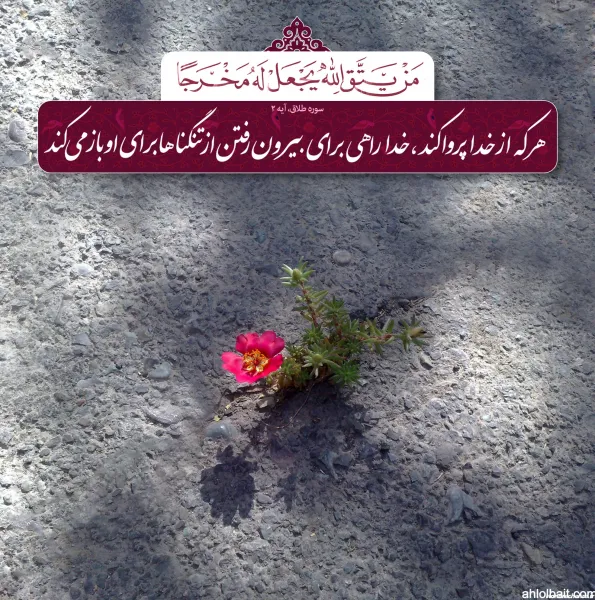  پروفایل جدایی و طلاق