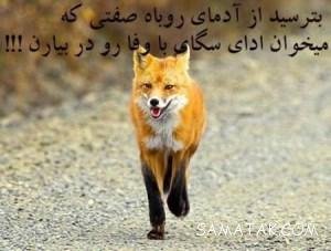  عکس عاشقانه جدید بدون متن