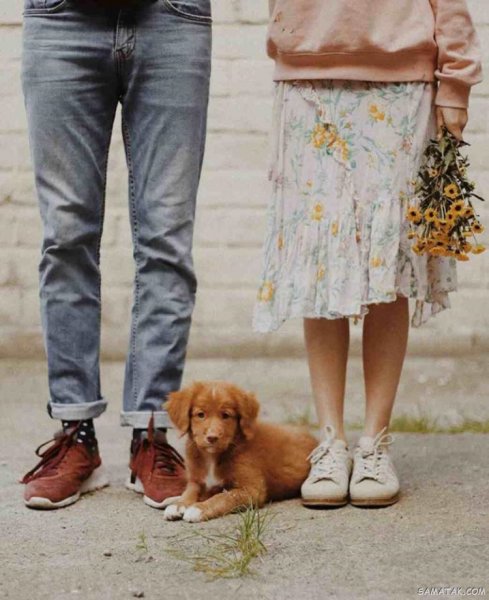  عکس عاشقانه جدید بدون متن