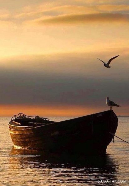 عکس پروفایل عاشقانه دونفره لب بدون متن