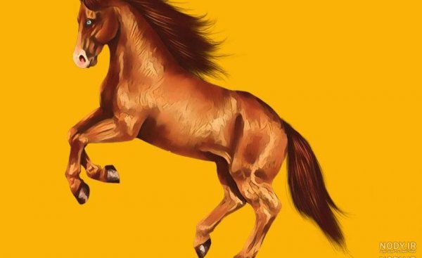  عکس کارتونی اسب