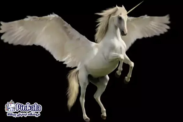 عکس اسب تک شاخ واقعی