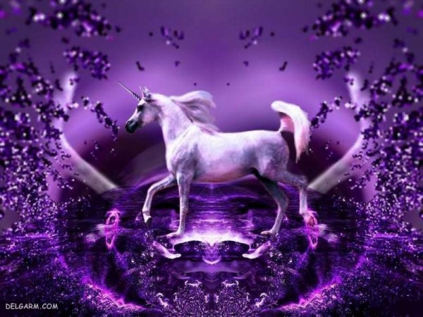  عکس کارتونی اسب تک شاخ