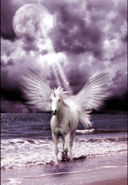  عکس تک شاخ گوگولی