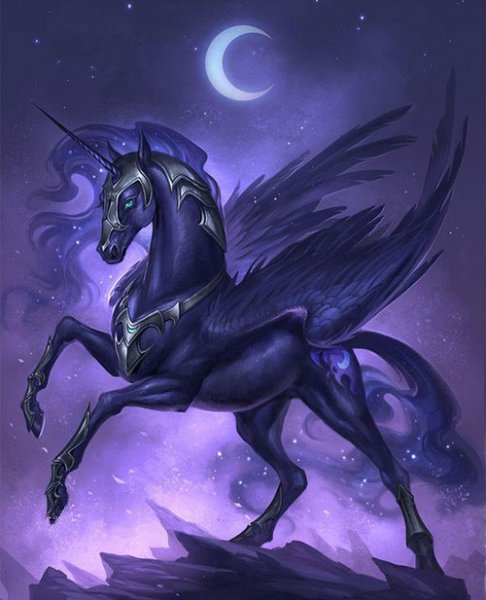  عکس تک شاخ گوگولی