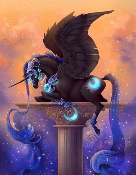  عکس تک شاخ گوگولی