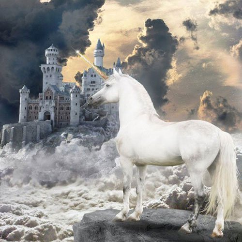  عکس تک شاخ گوگولی