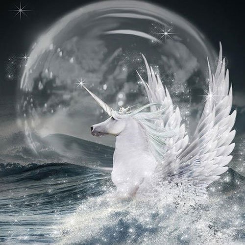  عکس تک شاخ گوگولی