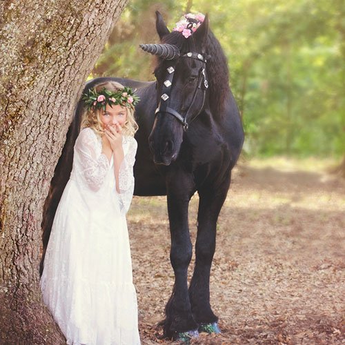  عکس تک شاخ گوگولی