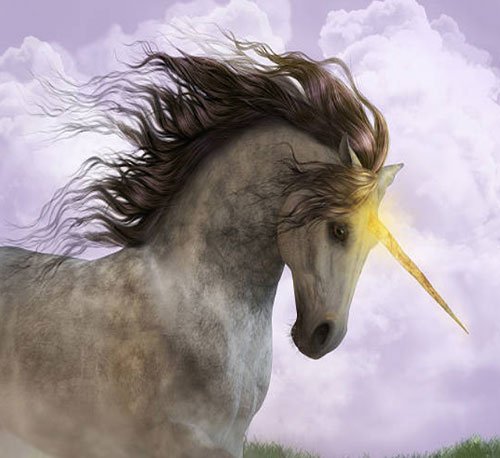  عکس تک شاخ گوگولی