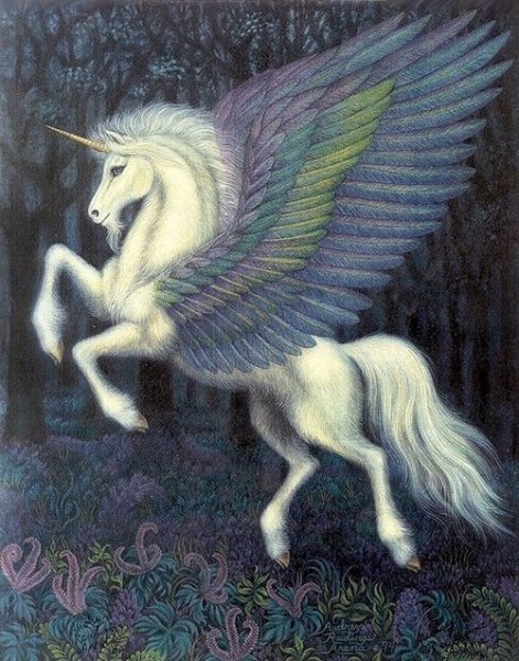  عکس تک شاخ گوگولی