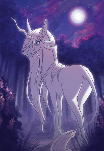  عکس تک شاخ خیلی زیبا