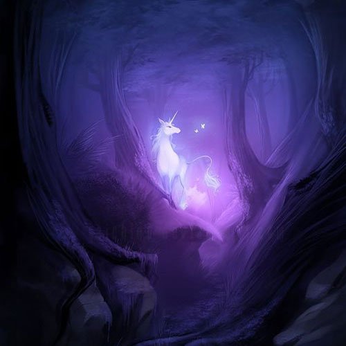  عکس تک شاخ خیلی زیبا