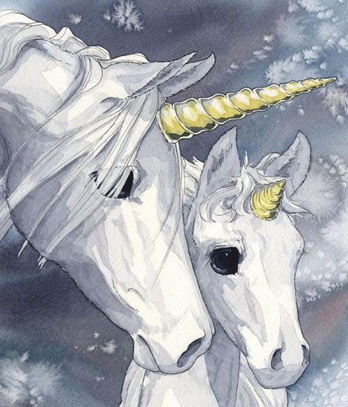  عکس تک شاخ خیلی زیبا