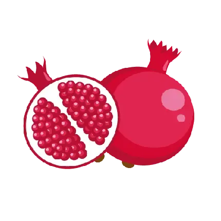 عکس کارتونی انار