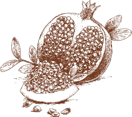  عکس کارتونی انار