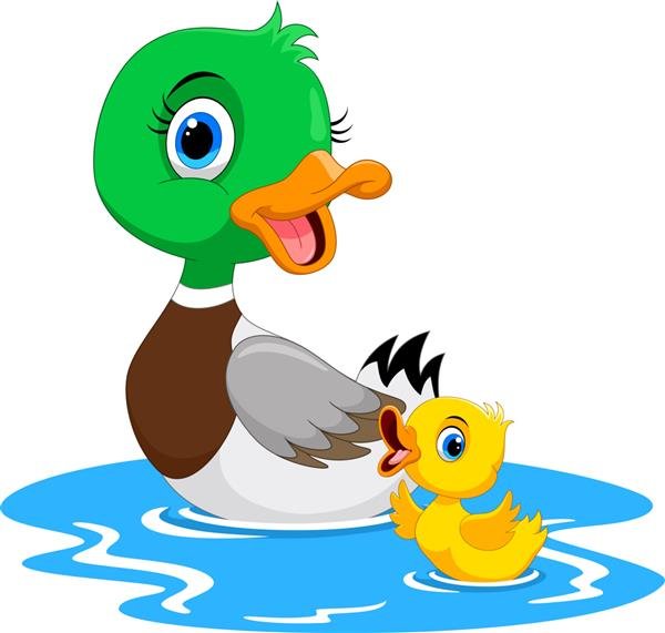  عکس کارتونی اردک