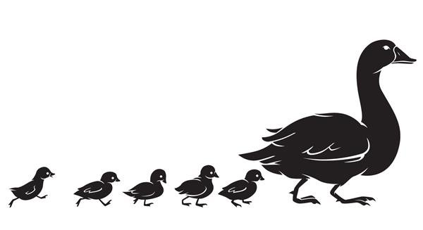  عکس کارتونی اردک