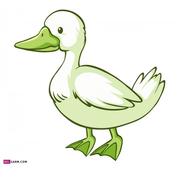  عکس اردک نقاشی