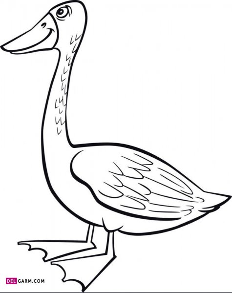  عکس اردک نقاشی