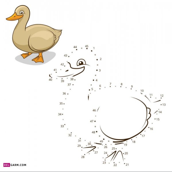  عکس اردک نقاشی