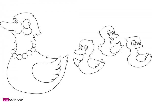  عکس اردک نقاشی