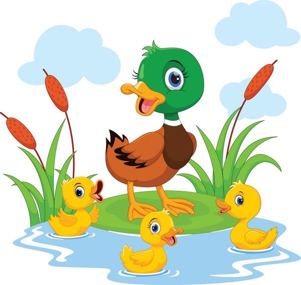  عکس اردک کیوت فاتزی