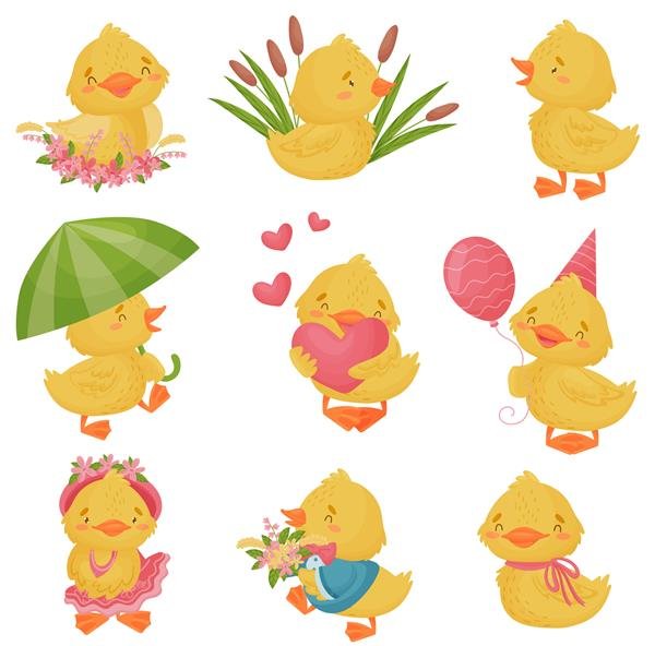  عکس اردک کیوت فاتزی