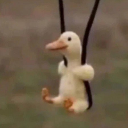  پروفایل اردک گنگ