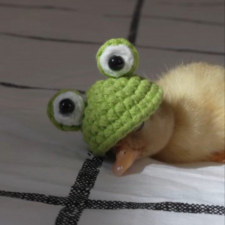  پروفایل اردک گنگ