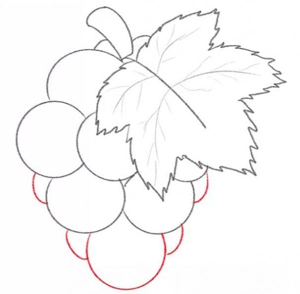  عکس انگور نقاشی