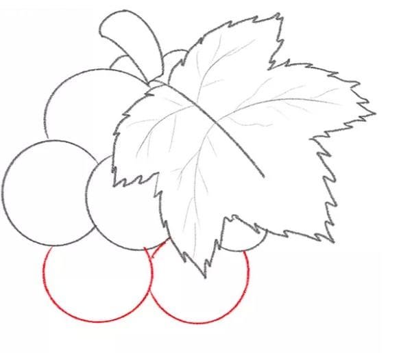 نقاشی انگور زیبا