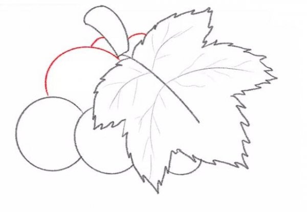  نقاشی انگور زیبا