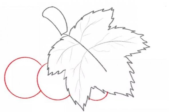  نقاشی انگور زیبا