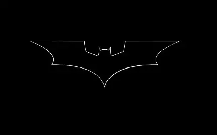  عکس بتمن واقعی