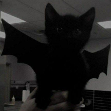  عکس بتمن گوگولی