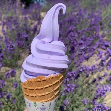  عکس بستنی کیوت