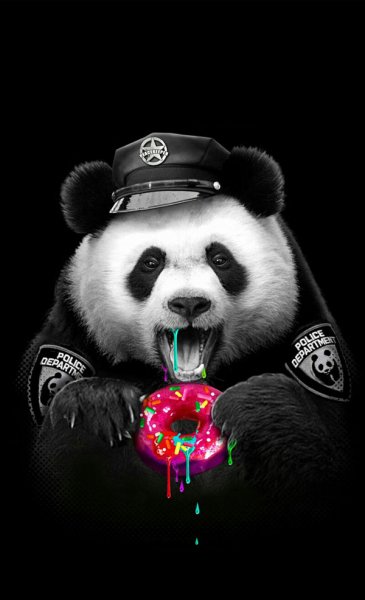  عکس پاندا برای پروفایل