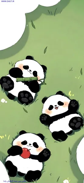  عکس پاندا برای تصویر زمینه