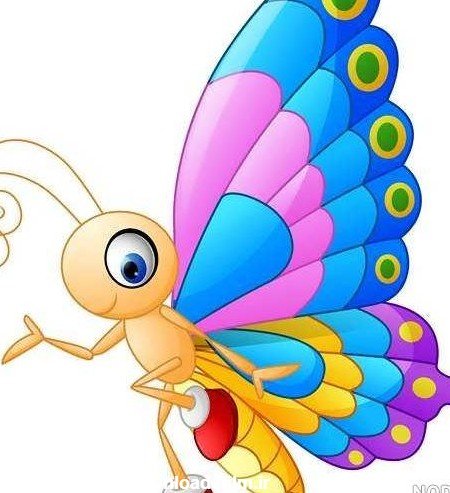  عکس کارتونی پروانه