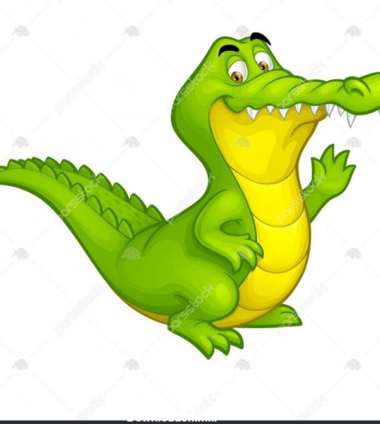  عکس تمساح کارتونی